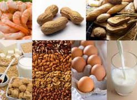 Il Test Di Incompatibilit Alimentare